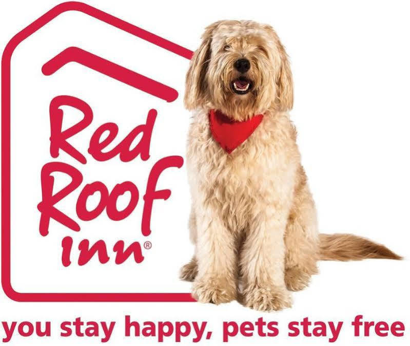 Red Roof Inn Akron Bagian luar foto